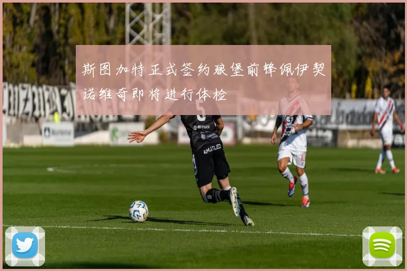 斯图加特正式签约狼堡前锋佩伊契诺维奇即将进行体检